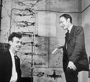 Collaborators Collection: Watson and Crick with their DNA model