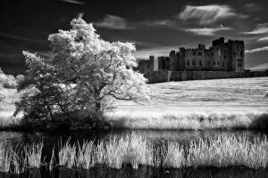 Haunting Collection: England, Northumberland, Alnwick Castle