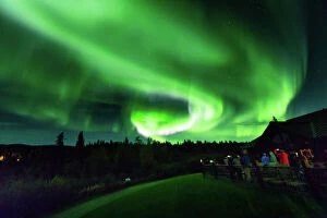 Waist Up Collection: Aura Borealis (Northern lights) in Denali Wilderness National Park, Alaska, United