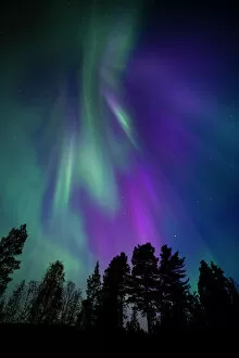 Meteorological Collection: Aurora borealis, corona, Muonio, Finland, Scandinavia, Europe