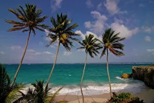 West Indies Collection: Bottom Bay beach, Barbados, West Indies, Caribbean, Central America