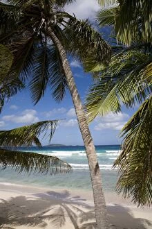 West Indies Collection: Beach, palm trees and surf in Long Bay, Tortola, British Virgin Islands