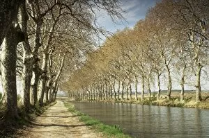 Canal du Midi Mouse Mat Collection: The Canal du Midi, near Capestang, Languedoc Roussillon, France, Europe