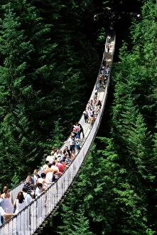 Hanging Collection: The Capilano Suspension Bridge, Vancouver, British Columbia (B. C. ), Canada, North America