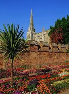 Chichester Collection: Chichester Cathedral and gardens, Chichester, West Sussex, England, UK, Europe