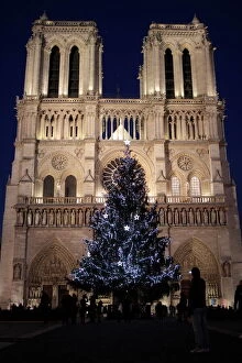 Christmas Trees Collection: Christmas tree, Notre-Dame de Paris Cathedral, Paris, France, Europe