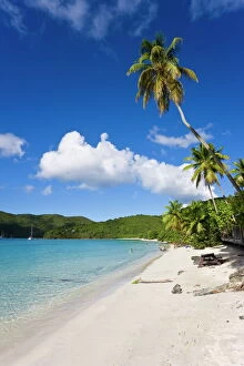West Indies Collection: Cinnamon Bay beach and palms, St. John, U. S. Virgin Islands, West Indies