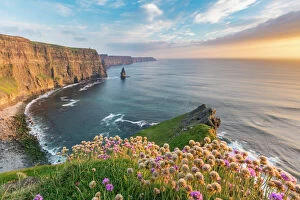Cliffs of Moher Poster Print Collection: Cliffs of Moher at sunset, with flowers in the foreground, Liscannor, County Clare