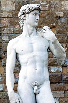 Naked Collection: The David, Piazza della Signoria, Florence (Firenze), UNESCO World Heritage Site