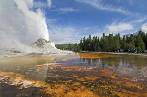 Steaming Collection: Eruption of Castle Geyser, Upper Geyser Basin, Yellowstone National Park