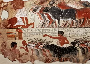 Ancient civilizations Collection: Fragment of a tomb painting dating from around 1400 BC from Thebes, Egypt