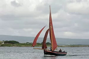 County Galway Collection: Galway hookers at Roundstone Regatta