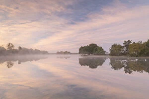 Serene Collection: Hatchet Pond reflecting a beautiful pink misty sunrise, Beaulieu, New Forest, England