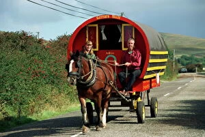Romany Collection: Horse-drawn gypsy caravan