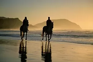 New Zealand Collection: Horse riding on the beach at sunrise
