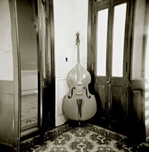 Double Bass Collection: Image taken with a Holga medium format 120 film toy camera of double bass resting against wall