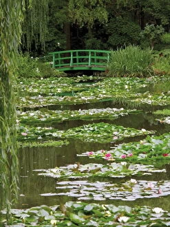 Related Images Fine Art Print Collection: Japanese bridge and lily pond in the garden of the Impressionist painter Claude Monet