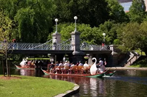 Parks Collection: Lagoon Bridge and Swan Boat in the Public Garden