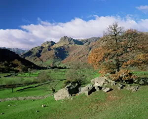 Lakes Canvas Print Collection: Langdale Pikes from Great Langdale, Lake District National Park, Cumbria