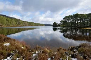 Lakes Postcard Collection: Loch an Eilein, near Aviemore, Cairngorms National Park, Highlands, Scotland