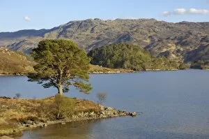 Lakes Jigsaw Puzzle Collection: Loch Morar