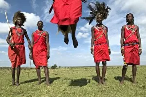 African Ethnicity Collection: Masai performing warrior dance, Masai Mara, Kenya, East Africa, Africa