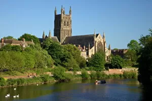 Related Images Cushion Collection: Mute swans and barge on River Severn, spring evening, Worcester Cathedral