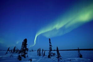 Freeze Collection: Northern Light, Aurora Borealis, Churchill, Manitoba, Canada