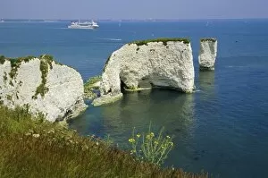 Cruise Collection: Old Harry Rocks, Isle of Purbeck, Dorset, England, UK
