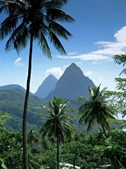 West Indies Collection: The Pitons, St. Lucia, Windward Islands, West Indies, Caribbean, Central America