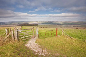 Brighton & Hove Framed Print Collection: The rolling hills of the South Downs National Park near Brighton, Sussex, England, United Kingdom