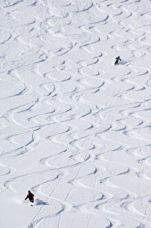 Related Images Photo Mug Collection: Skiers making early tracks after fresh snow fall at Alta Ski Resort