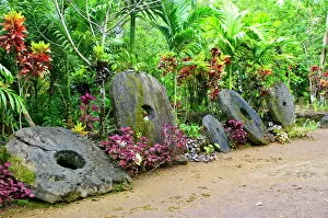 Dirt Road Collection: A stone money bank, Yap, Micronesia, Pacific