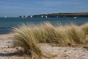 Beach Canvas Print Collection: Studland Beach and The Foreland or Hardfast Point, showing Old Harry Rock