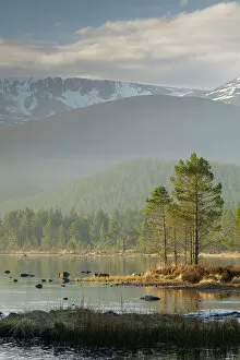 Lakes Collection: Sunrise over the Cairngorm Mountains and Loch Morlich, Scotland, United Kingdom, Europe