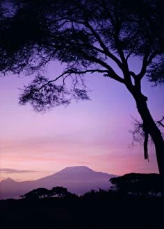 Related Images Pillow Collection: Sunrise, Mount Kilimanjaro