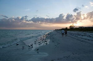 Related Images Mouse Mat Collection: Sunset on beach, Sanibel Island, Gulf Coast, Florida, United States of America