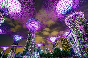 Purple Collection: Supertree Grove in the Gardens by the Bay, a futuristic botanical gardens and park