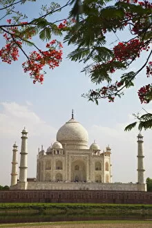 Indian Architecture Fine Art Print Collection: Taj Mahal, UNESCO World Heritage Site, Agra, Uttar Pradesh, India, Asia