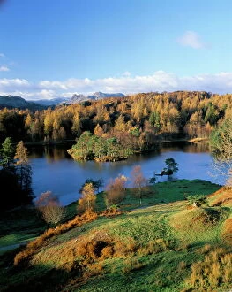 Lakes Premium Framed Print Collection: Tarn Hows, Lake District National Park, Cumbria, England, United Kingdom, Europe