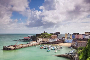 Related Images Fine Art Print Collection: Tenby Harbour, Pembrokeshire, West Wales, Wales, United Kingdom, Europe