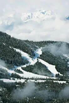 Sporting Venues Metal Print Collection: Tree lined ski slopes, Whistler mountain resort, venue of the 2010 Winter Olympic Games