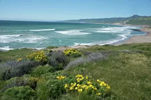 California Collection: View of Jalama Beach County Park, near Lompoc, California, United States of America