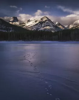 Typically Canadian Collection: Winter landscape of the Canadian Rockies at Wedge Pond, tracks of wildlife on frozen lake