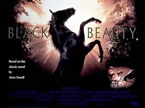 Film Jigsaw Puzzle Collection: Film Poster for James Hills Black Beauty (1971)
