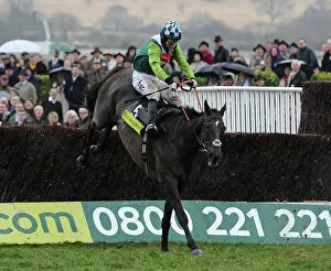 Racing Fine Art Print Collection: AP McCoy on Denman jumps the final fence of the 2010 Gold Cup