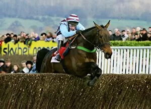 Horse Racing Jigsaw Puzzle Collection: Best Mate wins the 2003 Cheltenham Gold Cup