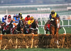 Horse Racing Jigsaw Puzzle Collection: Cheltenham Festival - The Champion Hurdle