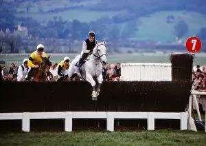Horse Racing Framed Print Collection: Desert Orchid in action in the 1990 Gold Cup
