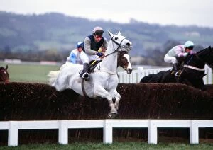 Desert Mouse Photographic Print Collection: Desert Orchid on the way to winning the Queen Mother Champions Chase in 1988